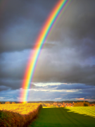 arcobaleno 28 lista